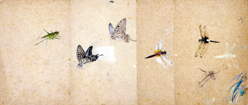 猪原大華「虫」